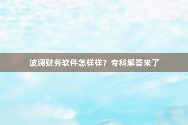 波澜财务软件怎样样？专科解答来了