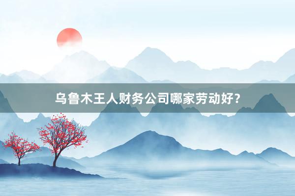 乌鲁木王人财务公司哪家劳动好？